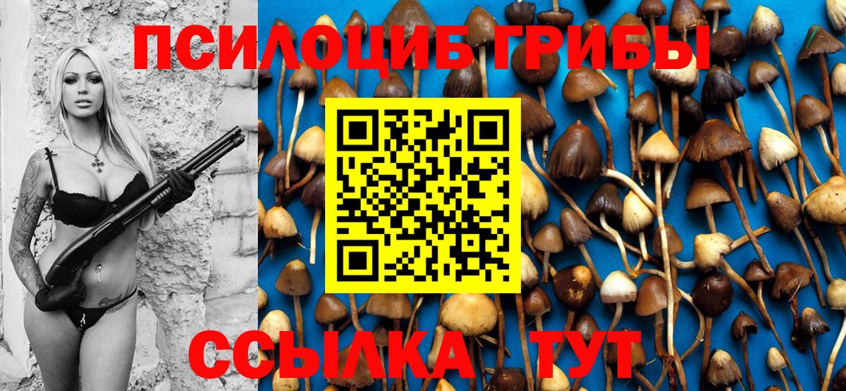 Псилоцибиновые грибы GOLDEN TEACHER  Вход с VPN  Раменское 